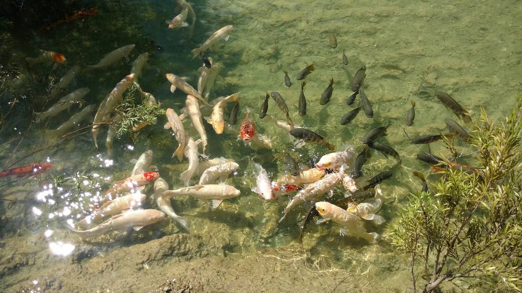 Fiesta Cafe | cafe | 12400 SW 152nd St, Miami, FL 33177, USA | 3052510400 OR +1 305-251-0400