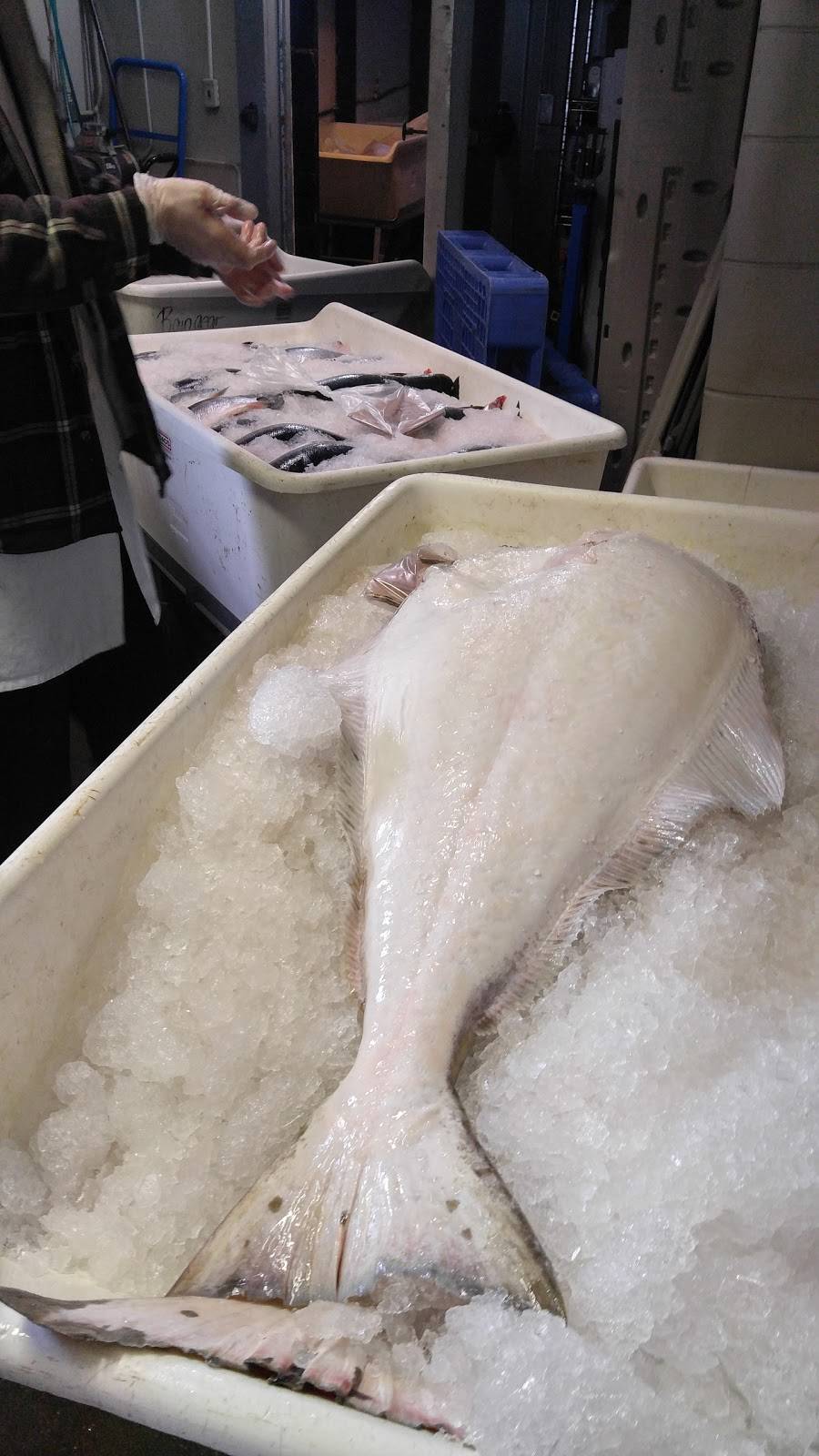 10th & M Seafoods | restaurant | 1020 M St, Anchorage, AK 99501, USA | 9072723474 OR +1 907-272-3474