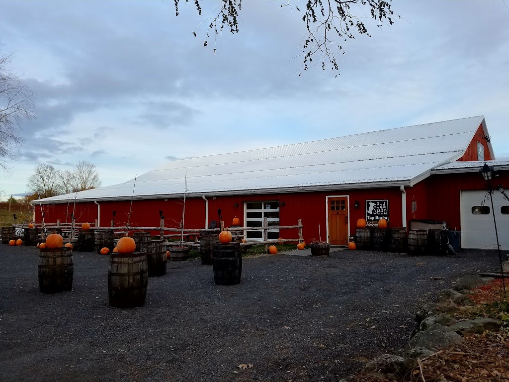 Bad Seed Cider Taproom | restaurant | 43 Baileys Gap Rd, Highland, NY 12528, USA | 8452360956 OR +1 845-236-0956