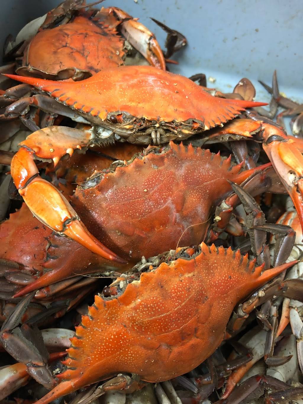 Martin Brothers Seafood Co | restaurant | 133 Westbank Expy, Westwego, LA 70094, USA | 5043412251 OR +1 504-341-2251