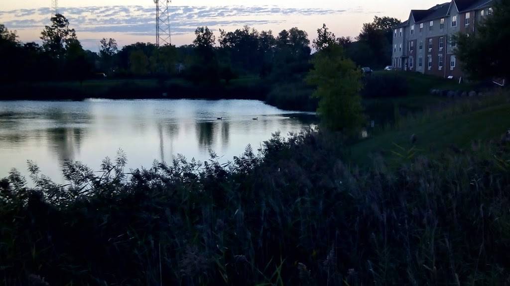 The Bistro – Eat. Drink. Connect.® | restaurant | 42700 W 11 Mile Rd, Novi, MI 48375, USA | 2483801234 OR +1 248-380-1234