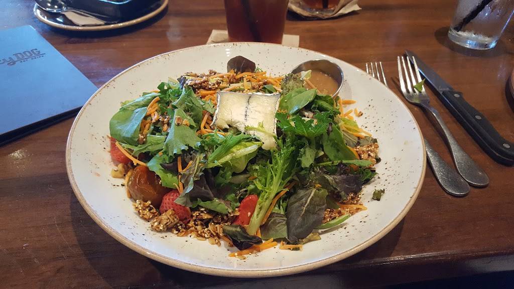 Lazy Dog Restaurant & Bar | restaurant | 16310 Beach Blvd, Westminster, CA 92683, USA | 7145001140 OR +1 714-500-1140