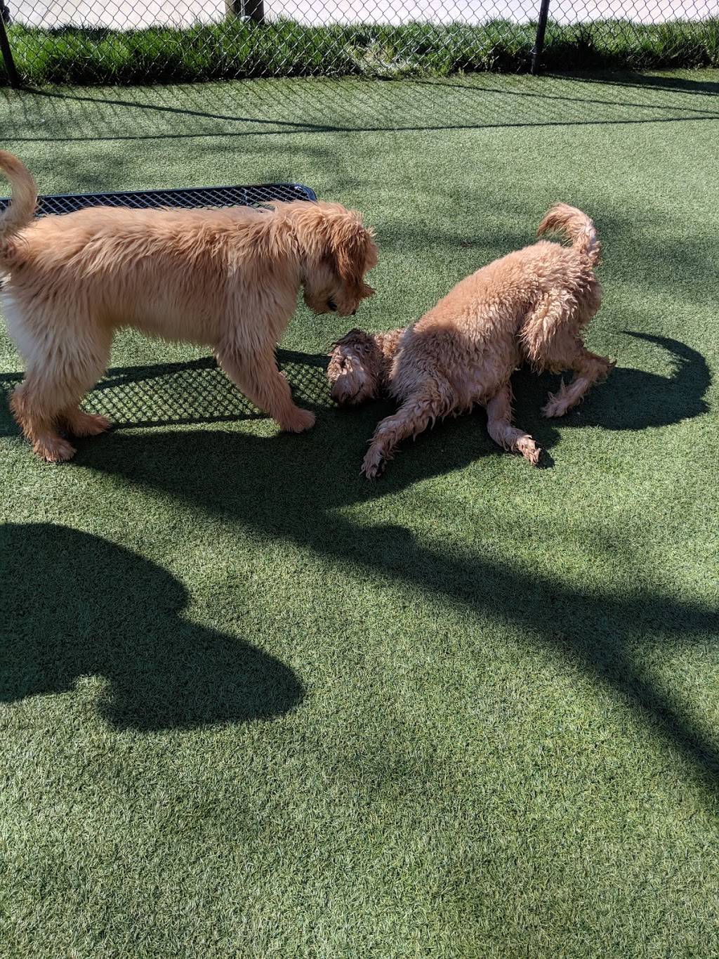 Play Wash Pint | restaurant | 113 Johnson St, Chattanooga, TN 37408, USA | 4236432275 OR +1 423-643-2275