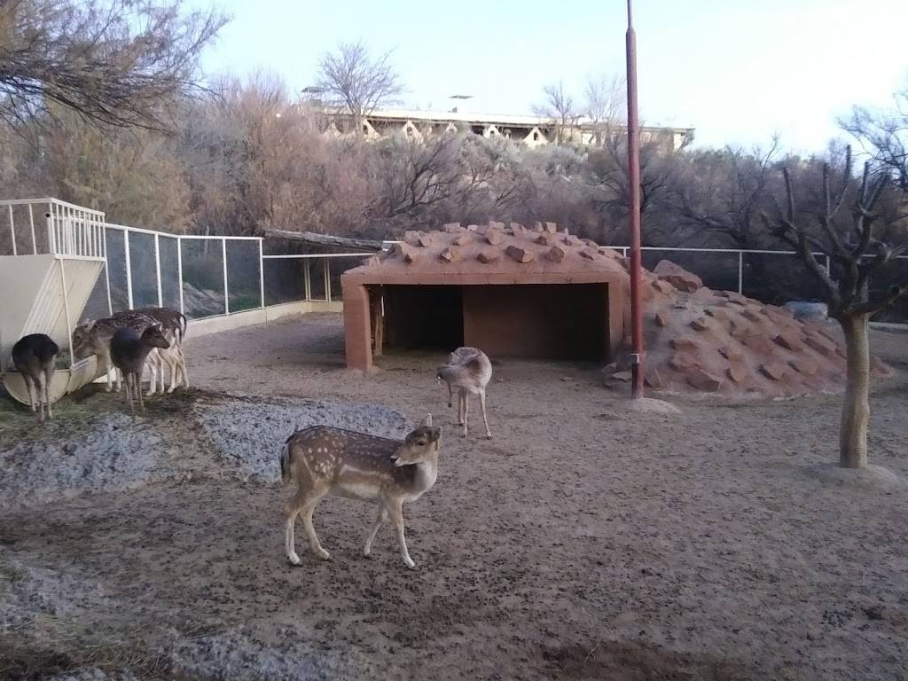 Indian Cliffs Ranch | restaurant | 3450 San Felipe, Fabens, TX 79838, USA | 9157642283 OR +1 915-764-2283