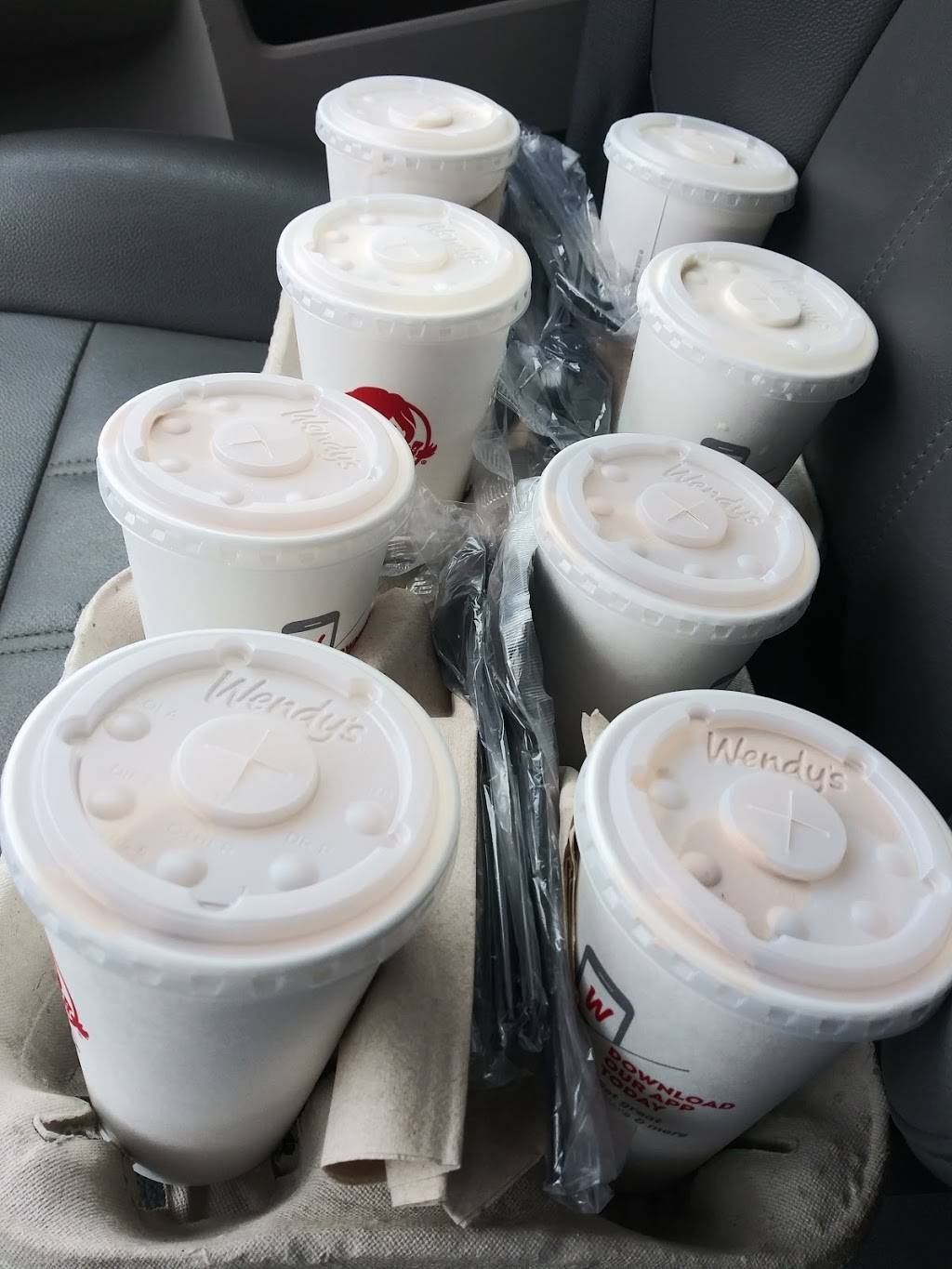 Wendys | restaurant | 20561 Gibraltar Rd, Brownstown Charter Twp, MI 48183, USA | 7346761406 OR +1 734-676-1406