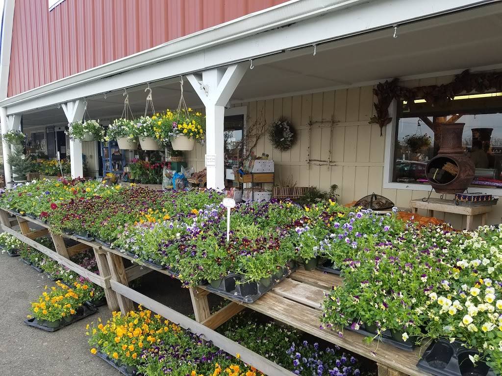 Dearborn Market | bakery | 2170 NJ-35, Holmdel, NJ 07733, USA | 7322640256 OR +1 732-264-0256