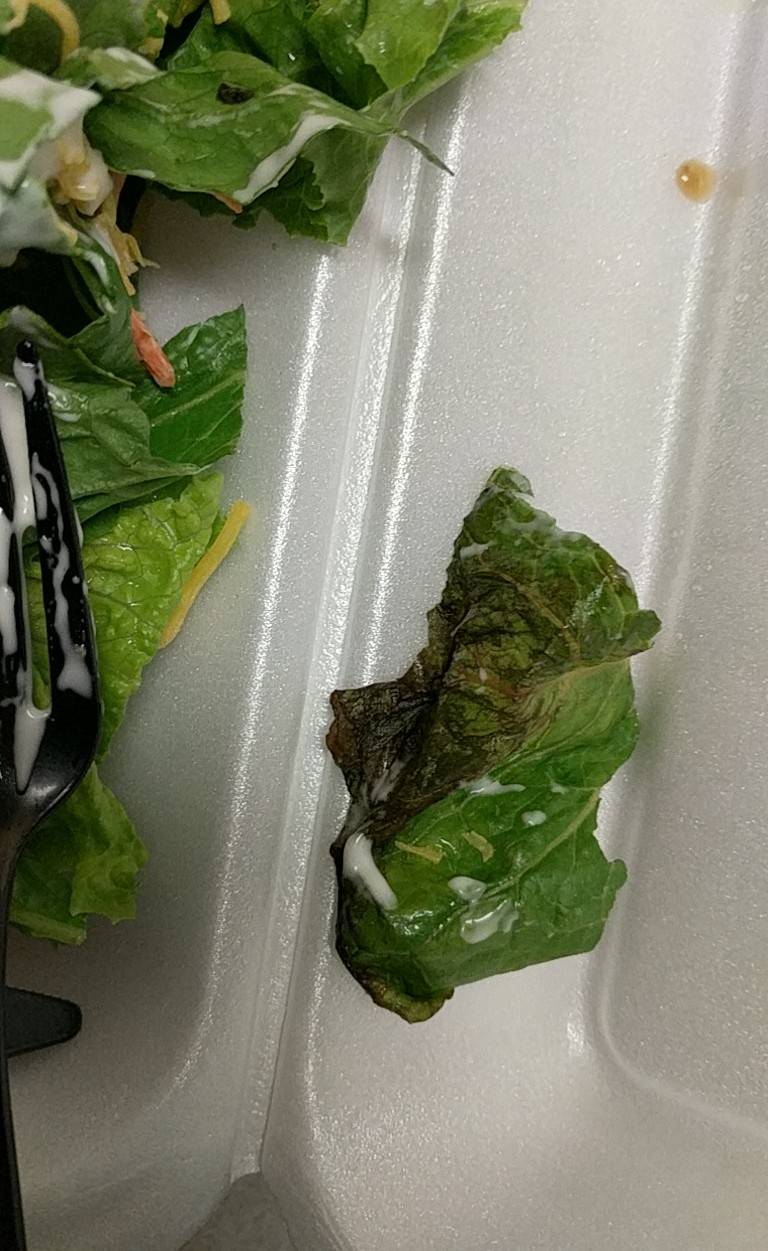 Vikings Den | restaurant | 100 Laguna Dr, Huron, OH 44839, USA | 4194337649 OR +1 419-433-7649