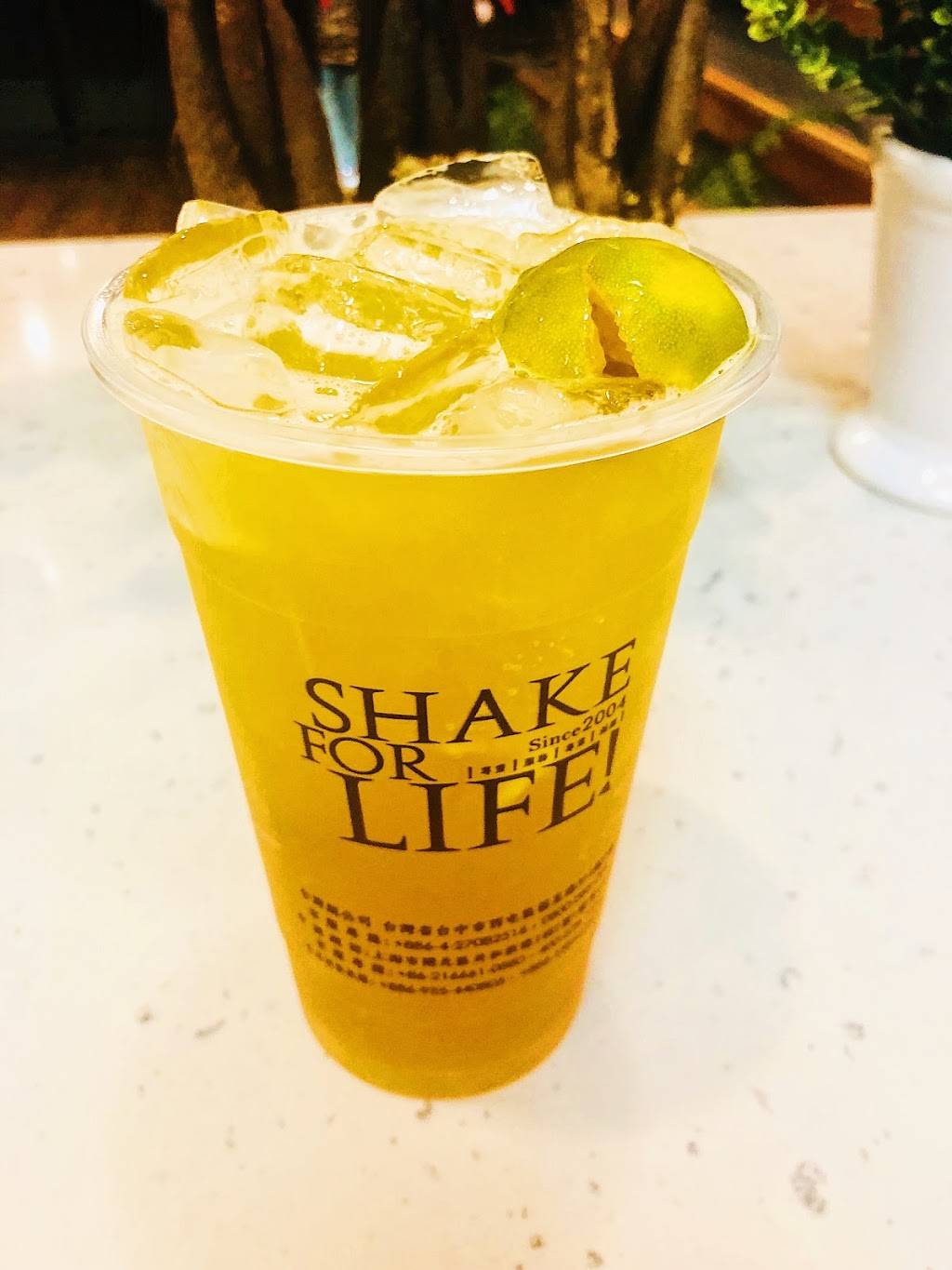 Ding Tea Alhambra | restaurant | 15 E Valley Blvd, Alhambra, CA 91801, USA | 6267661454 OR +1 626-766-1454