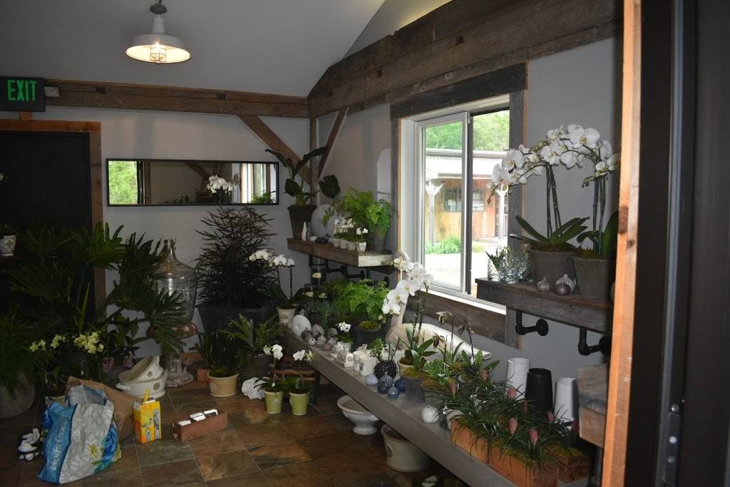 Black Sheep Mercantile | restaurant | 17 Airport Rd, Edgartown, MA 02539, USA | 5083387770 OR +1 508-338-7770