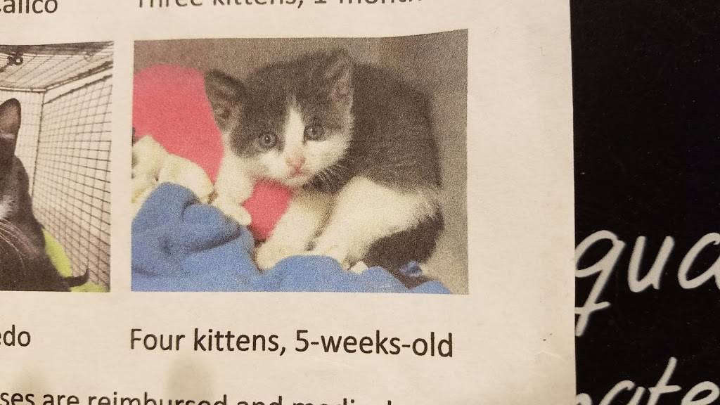 Starbucks | cafe | 27702 Crown Valley Pkwy Suite E-3, Ladera Ranch, CA 92694, USA | 9493478190 OR +1 949-347-8190