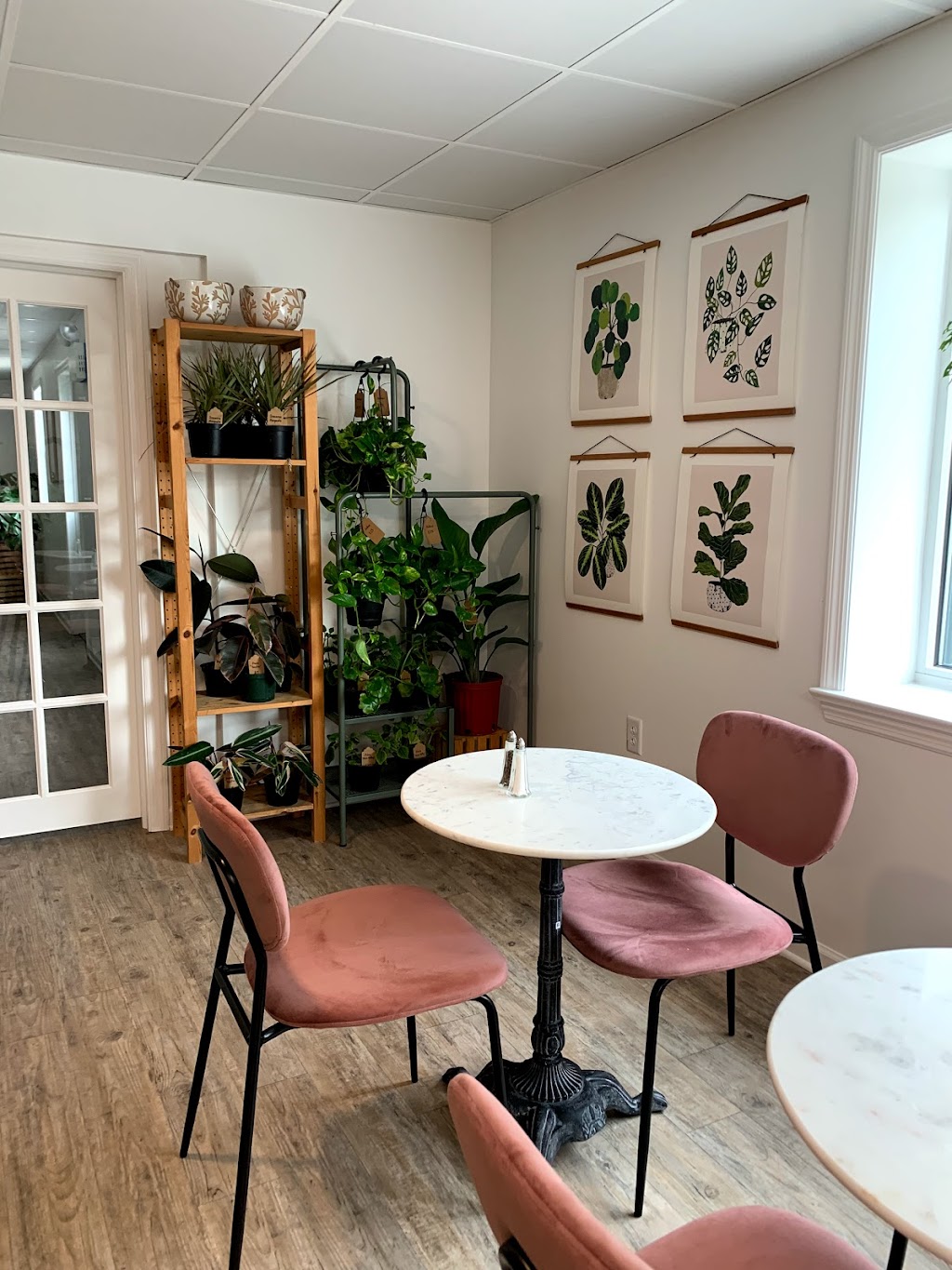 Hudson Botanical - Cafe | Catering | Houseplants | restaurant | 2433 Old Philadelphia Pike, Smoketown, PA 17576, USA | 7176212374 OR +1 717-621-2374