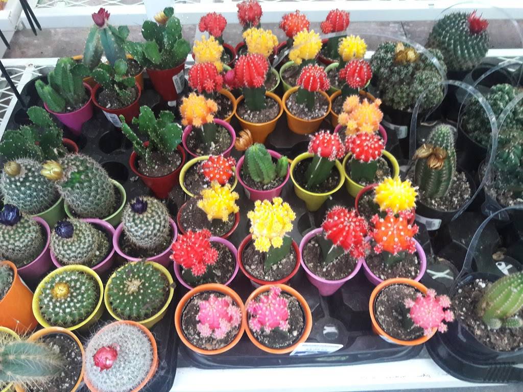 Subway Restaurants | restaurant | 5108 Glen Harwell Rd, Plant City, FL 33566, USA | 8137522534 OR +1 813-752-2534