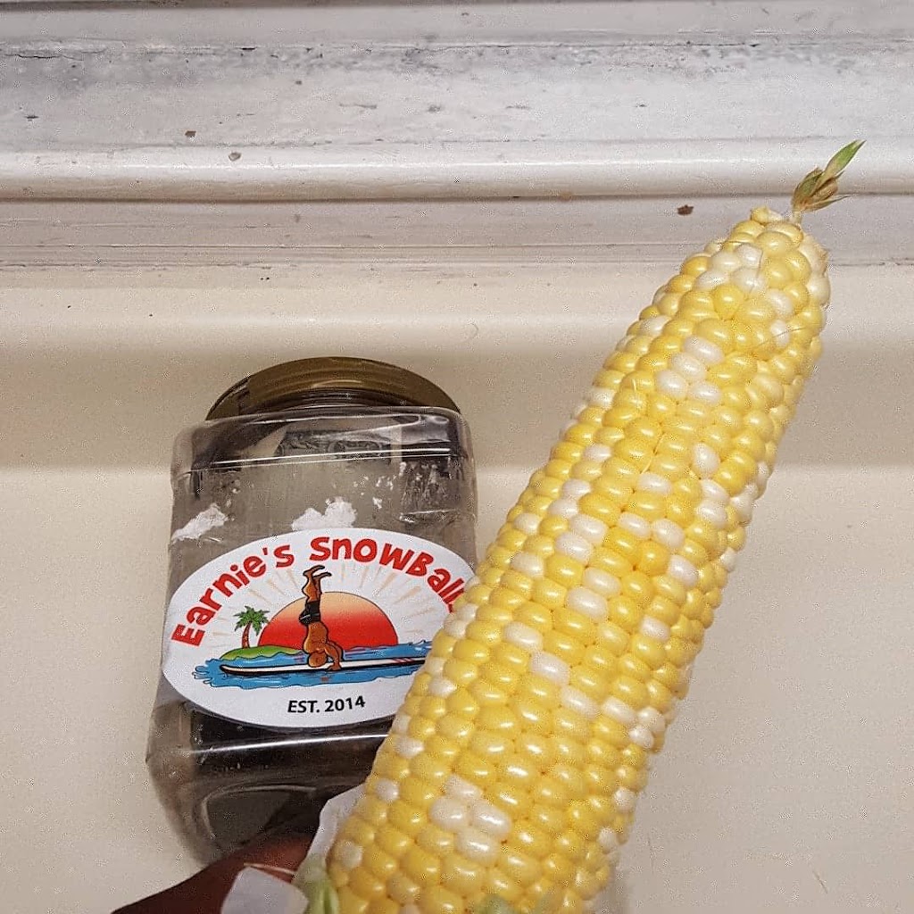 Earnies Food Truck & Catering | restaurant | 3501 Montgomery Hwy, Dothan, AL 36303, USA | 3347960095 OR +1 334-796-0095