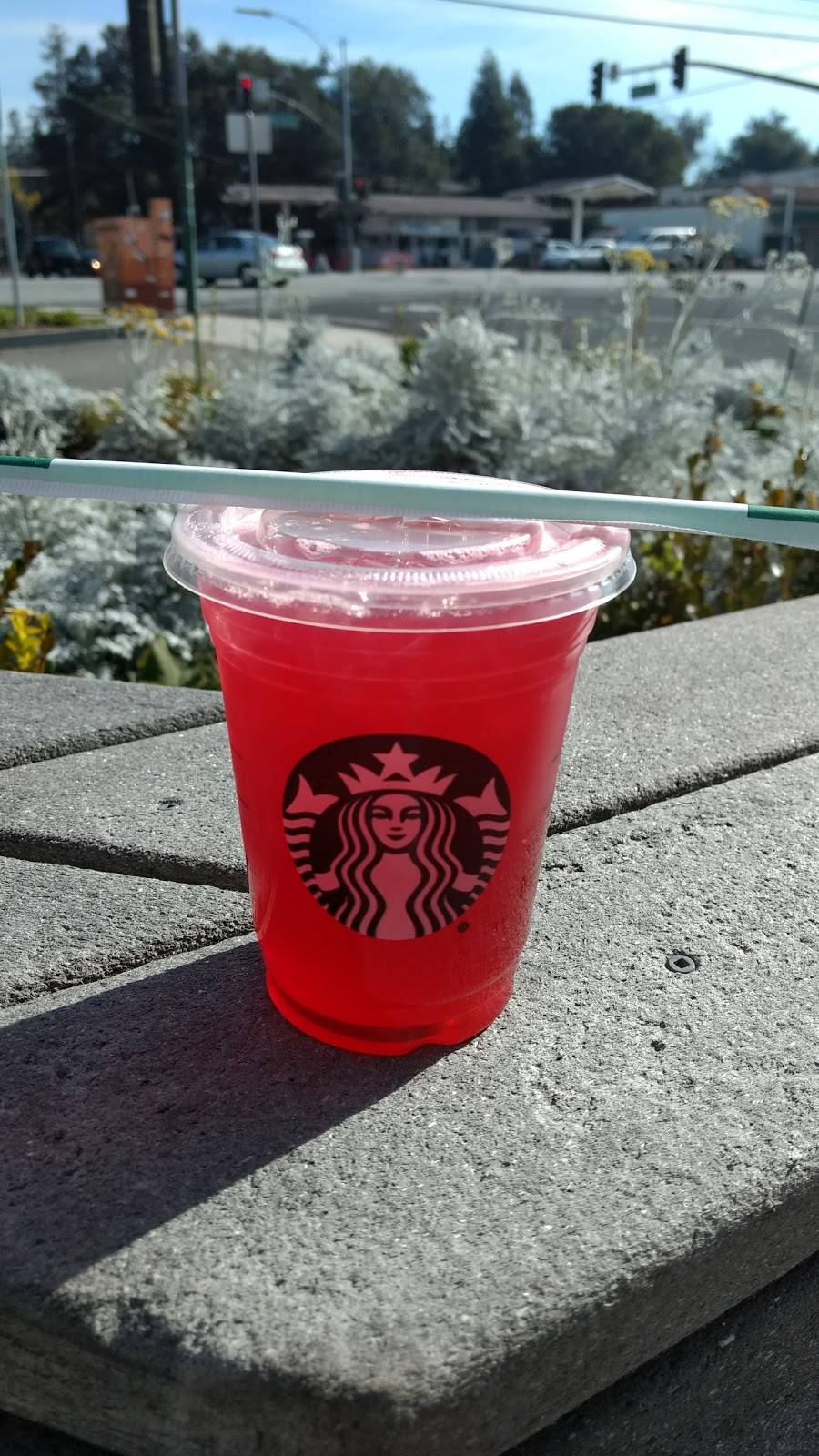 Starbucks | cafe | 1087 Meridian Ave A, San Jose, CA 95125, USA | 4087231425 OR +1 408-723-1425