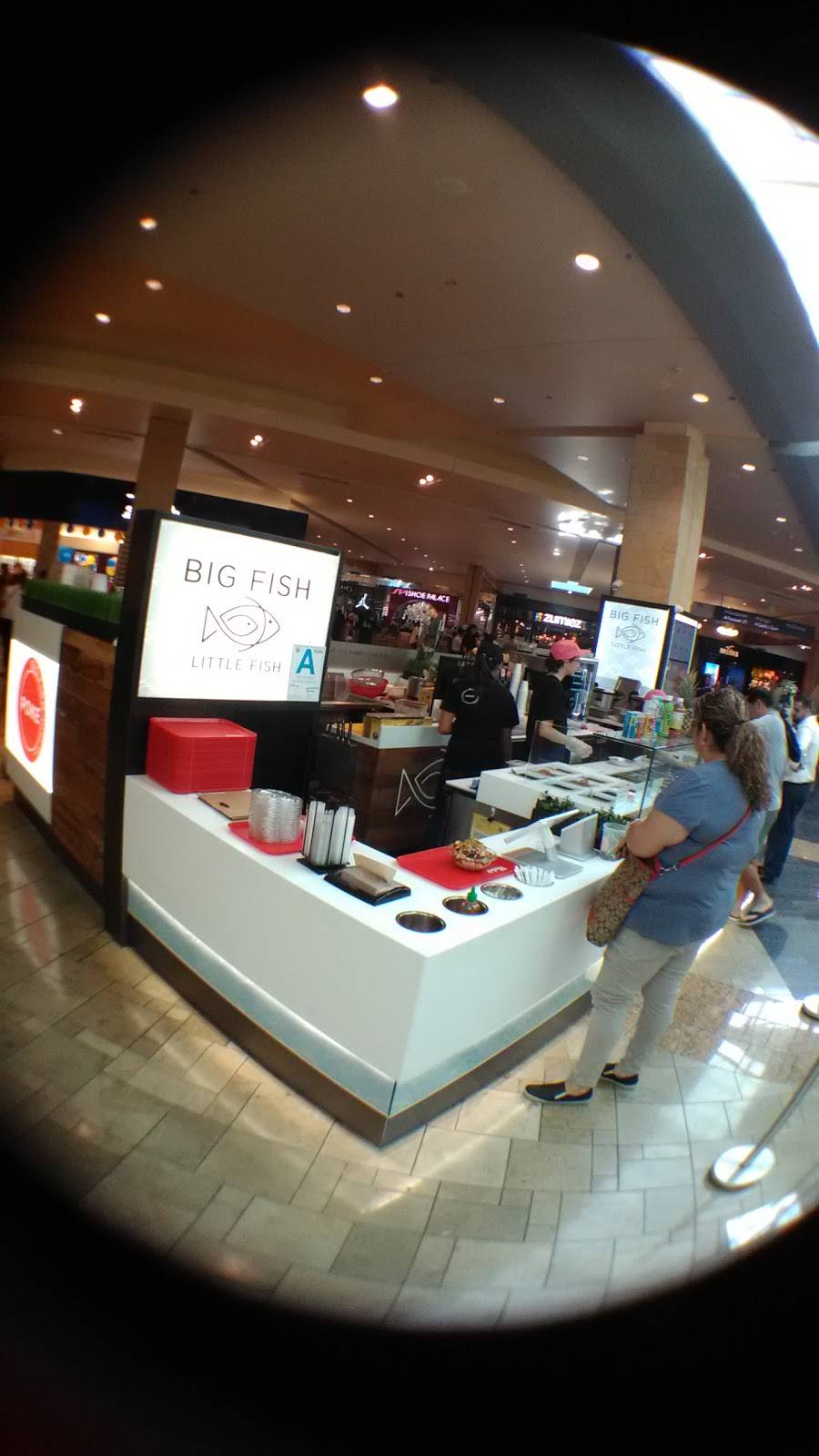 Big Fish Little Fish | restaurant | 400 S Baldwin Ave, Arcadia, CA 91007, USA | 6265384887 OR +1 626-538-4887