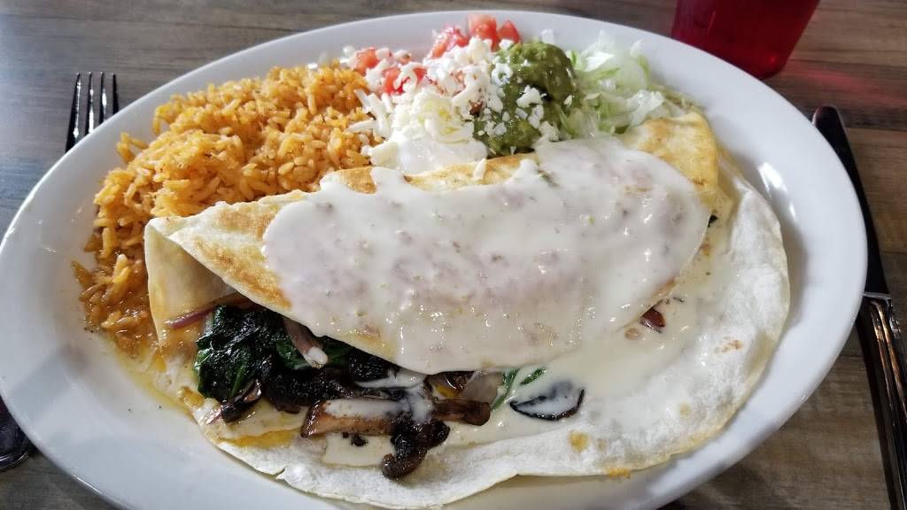 El Zócalo Grill & Cantina | restaurant | 12531 Central Ave NE, Blaine, MN 55449, USA | 7634961299 OR +1 763-496-1299
