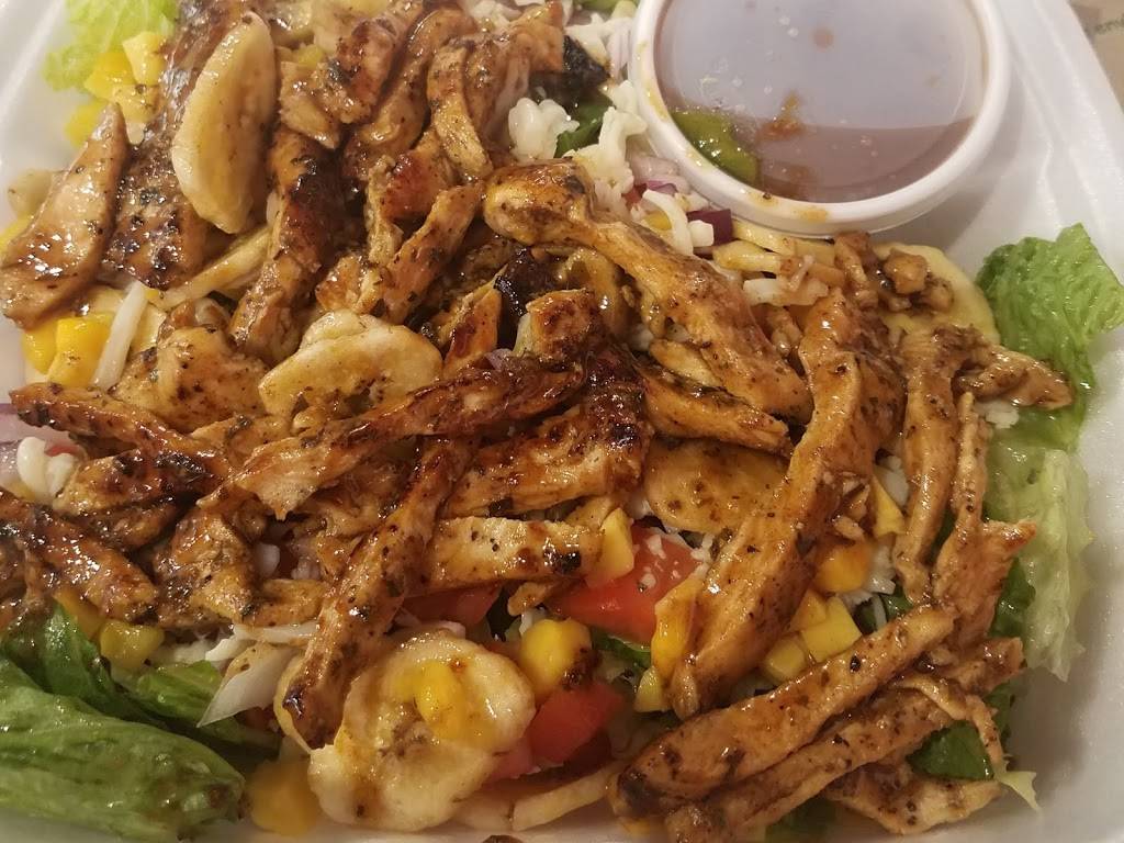 Nickys Grill & Yogurt Oasis | restaurant | 10255 S Western Ave, Chicago, IL 60643, USA | 7732333072 OR +1 773-233-3072