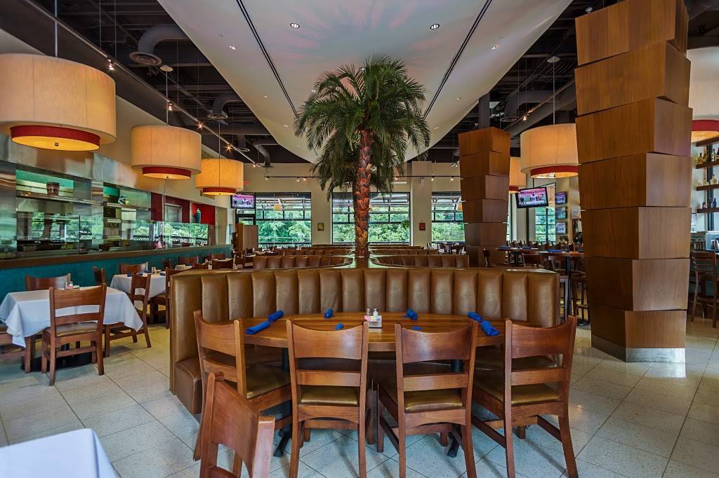 Cocina Superior | restaurant | 587 Brookwood Village, Birmingham, AL 35209, USA | 2052591980 OR +1 205-259-1980