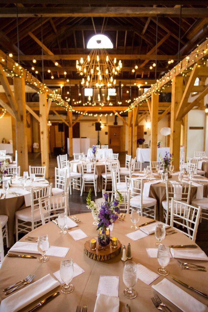 Catering To You |  | 210 Harvard St, Brookline, MA 02446, USA | 7812861273 OR +1 781-286-1273