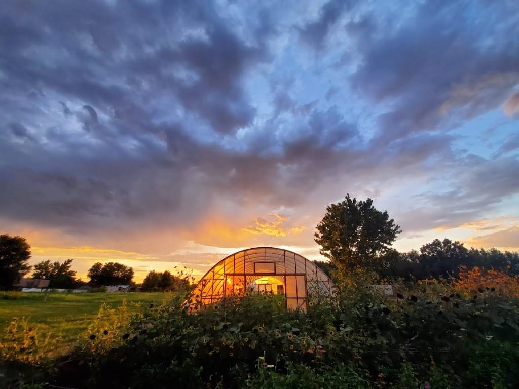 Farm & Table | restaurant | 8917 4th St NW, Albuquerque, NM 87114, USA | 5055037124 OR +1 505-503-7124