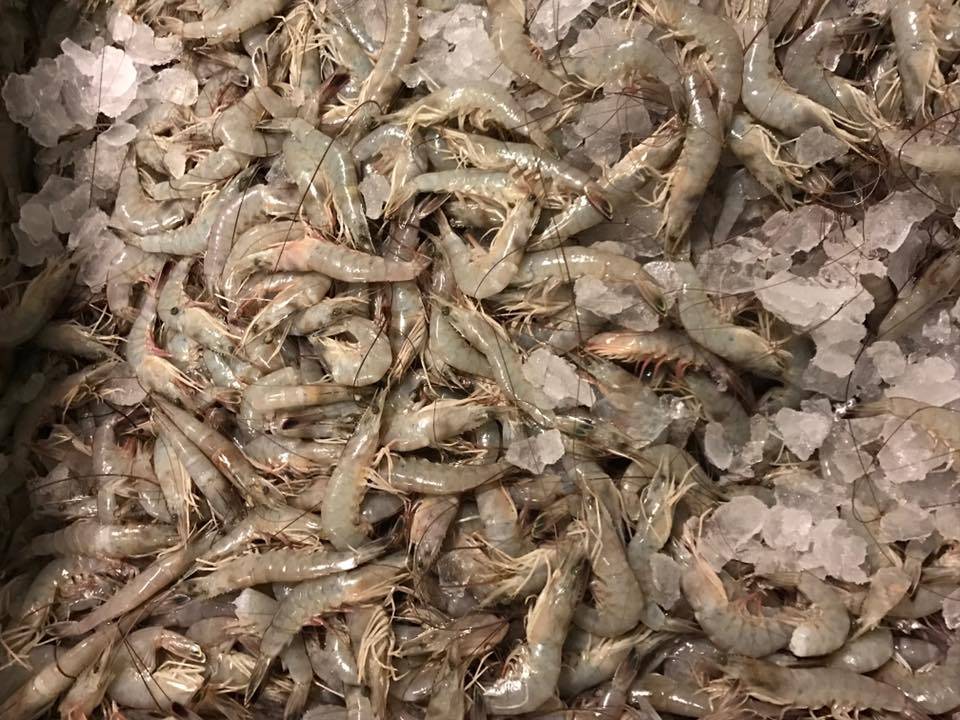 Seven Seas Seafood Market | restaurant | 3476 US-17 BUS, Murrells Inlet, SC 29576, USA | 8436511666 OR +1 843-651-1666