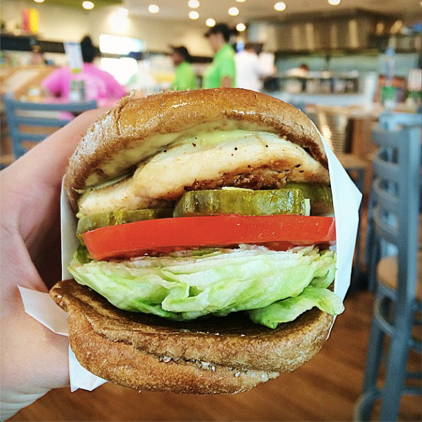 PDQ Restaurant | restaurant | 12650 Dale Mabry Hwy, Tampa, FL 33618, USA | 8134438336 OR +1 813-443-8336