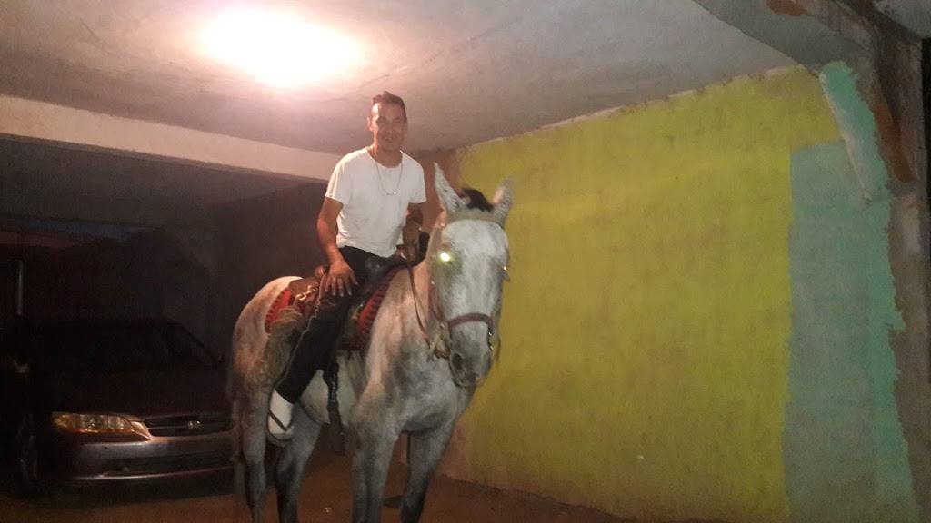 Restaurante Espiga De Oro | restaurant | Popular 1989, 22810 Ensenada, B.C., Mexico | 016462049518 OR +52 646 204 9518