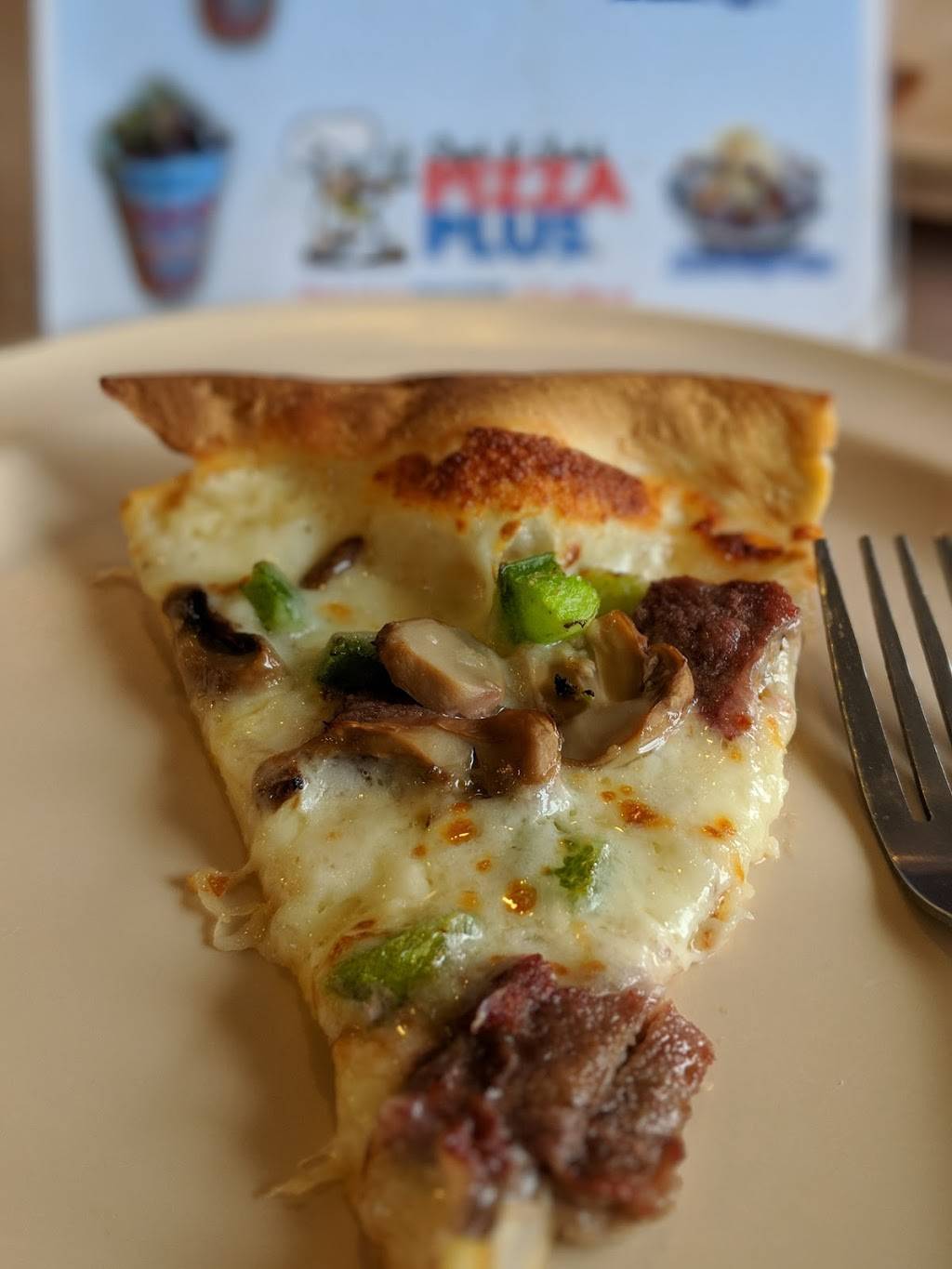 Pizza Plus | restaurant | 2603 Sullivan Gardens Pkwy, Kingsport, TN 37660, USA | 4233495565 OR +1 423-349-5565