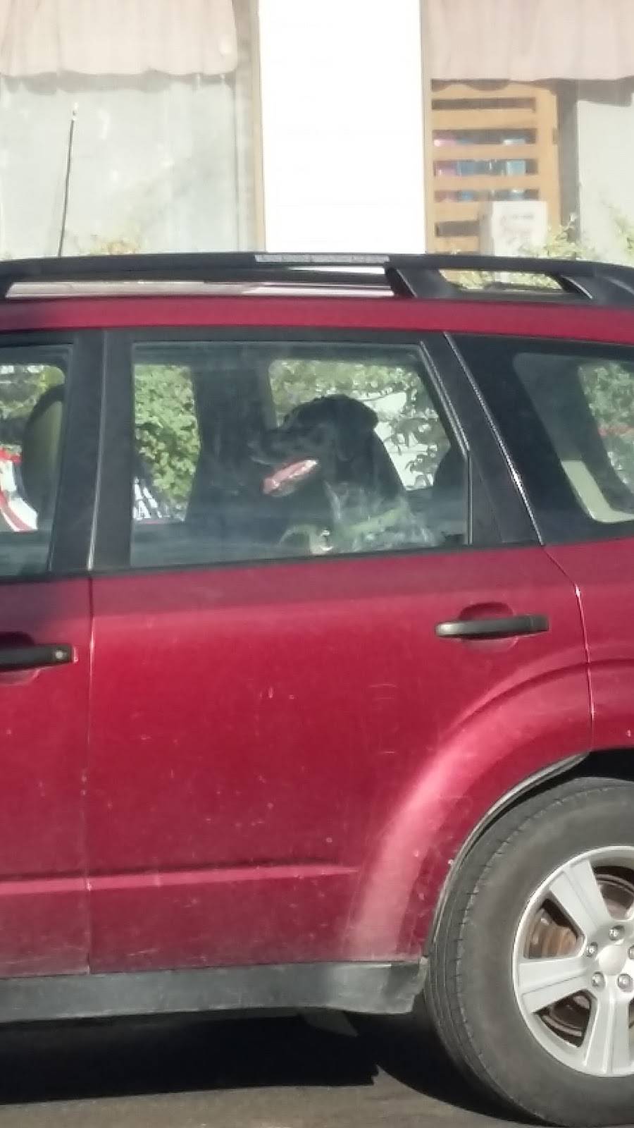 Chesleys Pizza | restaurant | 2122 US-3, Campton, NH 03223, USA | 6037267033 OR +1 603-726-7033