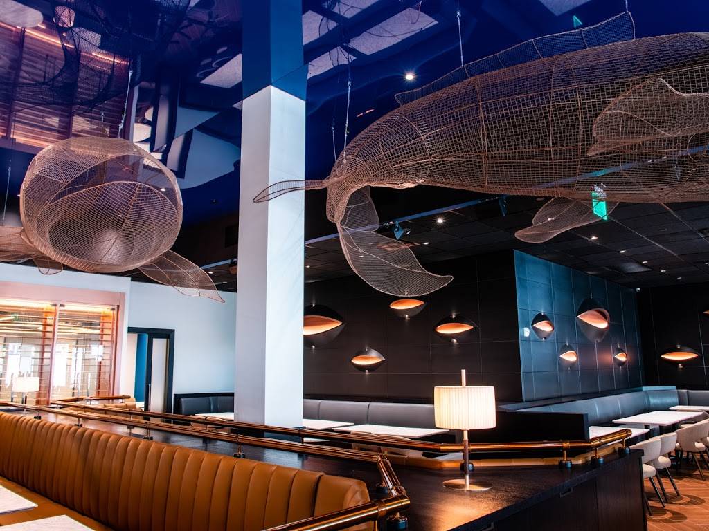 Copperfish Kitchen | restaurant | 5250 Town Center Cir #143, Boca Raton, FL 33486, USA | 5613913474 OR +1 561-391-3474