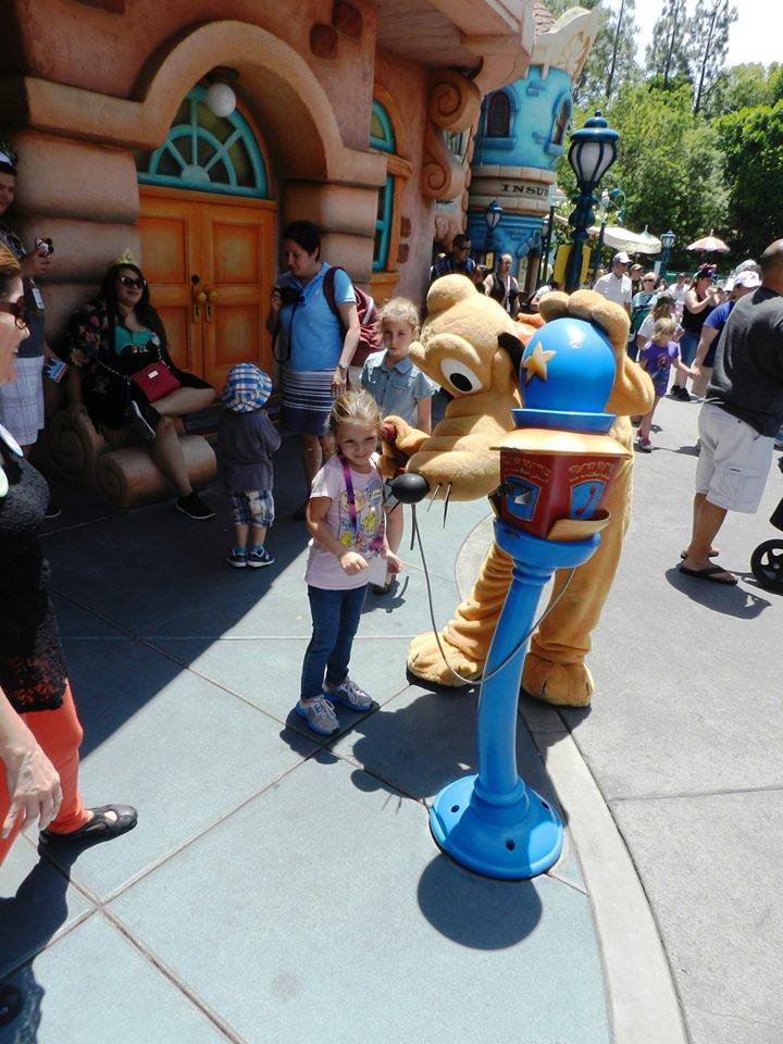 Plutos Dog House | meal takeaway | 1313 S Harbor Blvd, Anaheim, CA 92802, USA | 7147813463 OR +1 714-781-3463