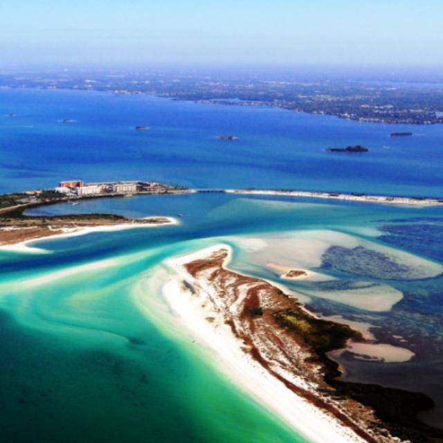 Hog Island Fish Camp | restaurant | 900 Broadway Ave, Dunedin, FL 34698, USA | 7277361179 OR +1 727-736-1179