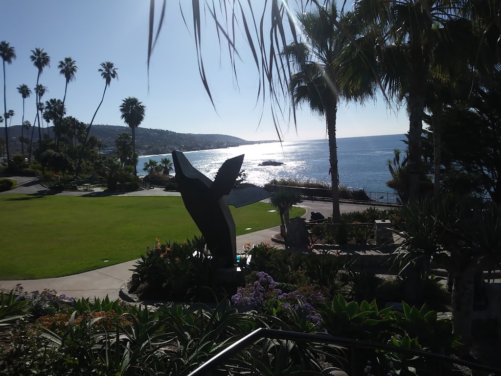 I love Laguna Tours & Events | night club | 550 S Coast Hwy #1, Laguna Beach, CA 92651, USA | 6266891847 OR +1 626-689-1847