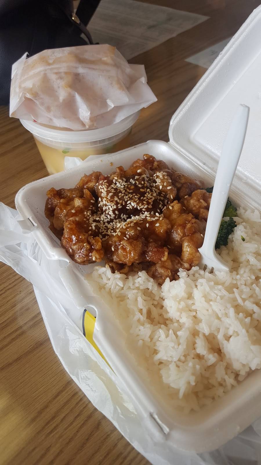 China 3 | restaurant | 102 Benkert St, Bethpage, NY 11714, USA | 5169311068 OR +1 516-931-1068