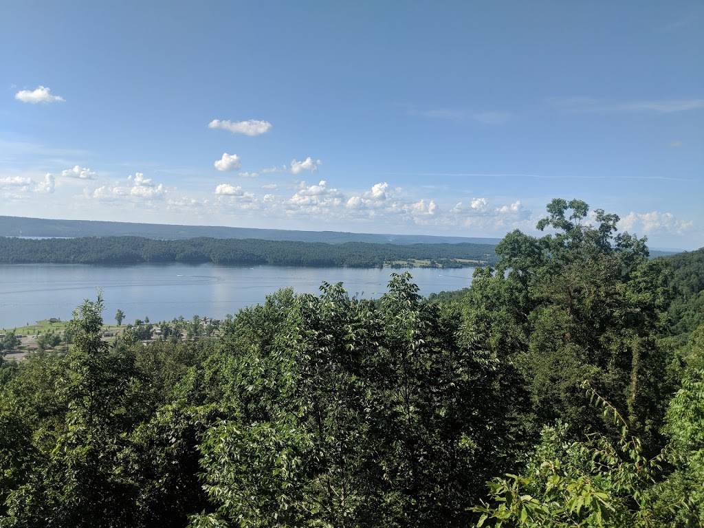 Eagles Nest Golf Course | restaurant | 2060 Aubrey Carr Scenic Dr, Guntersville, AL 35976, USA | 2565715458 OR +1 256-571-5458