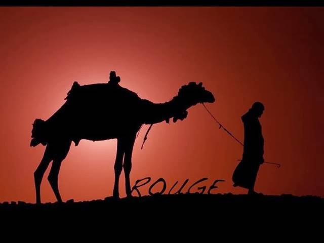 Rouge | restaurant | 908 71st St, Miami Beach, FL 33141, USA | 3057209125 OR +1 305-720-9125