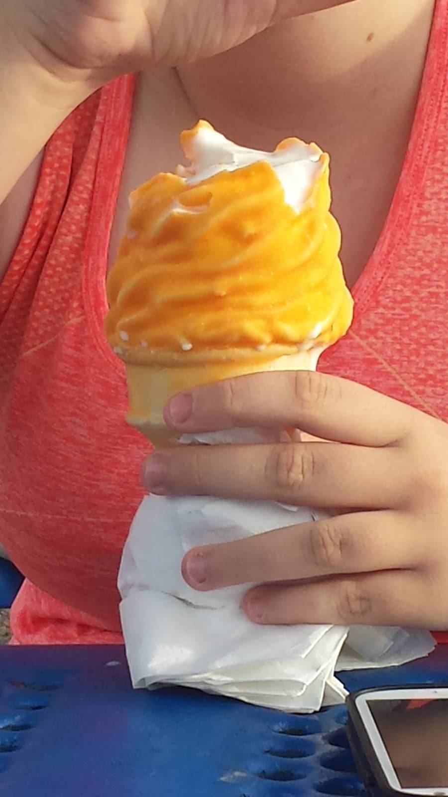 Bos Ice Cream | restaurant | 7101 N Florida Ave, Tampa, FL 33604, USA | 8133029644 OR +1 813-302-9644