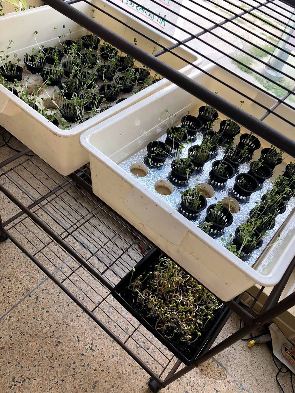 Bio Cafe | restaurant | 3310 Yonge St, Toronto, ON M4N 2M4, Canada | 4165613870 OR +1 416-561-3870