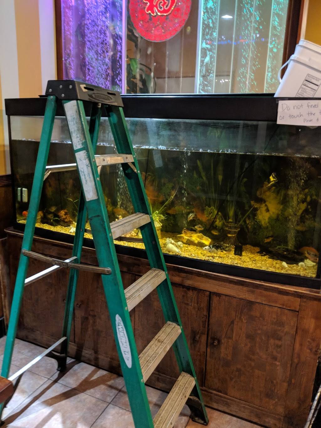 China Kitchen | restaurant | 7985 FL-50, Groveland, FL 34736, USA | 3524290888 OR +1 352-429-0888