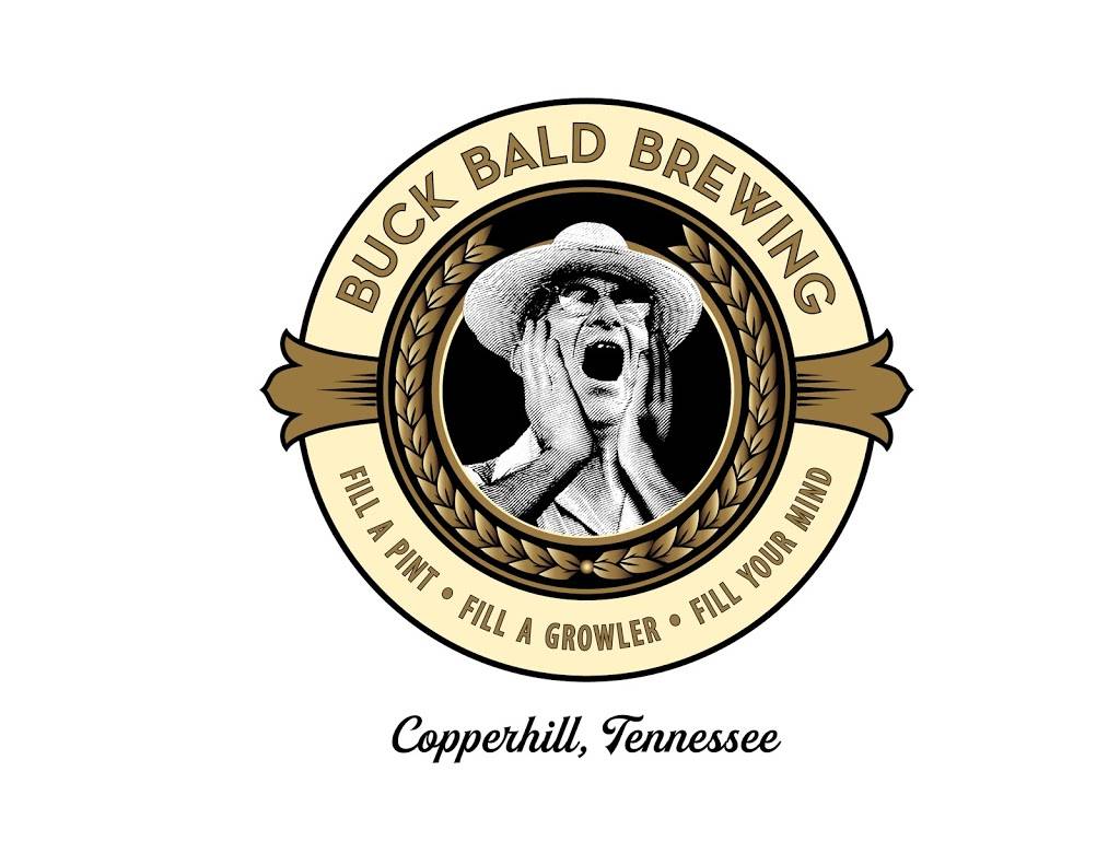 Buck Bald Brewing | restaurant | 160 Ocoee St, Copperhill, TN 37317, USA | 7064317141 OR +1 706-431-7141