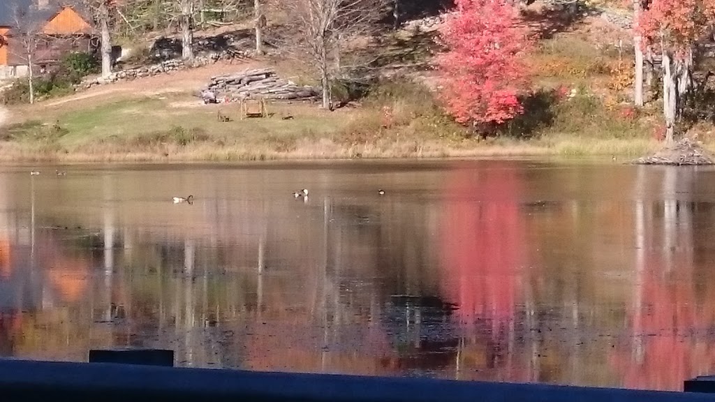 The Maple Guys Sugar Shack | restaurant | 311, Cram Hill Rd, Lyndeborough, NH 03082, USA | 6038013158 OR +1 603-801-3158