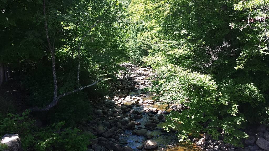 Stony Creek Inn & Rest | restaurant | 6 Roaring Branch Rd, Stony Creek, NY 12878, USA | 5186962394 OR +1 518-696-2394