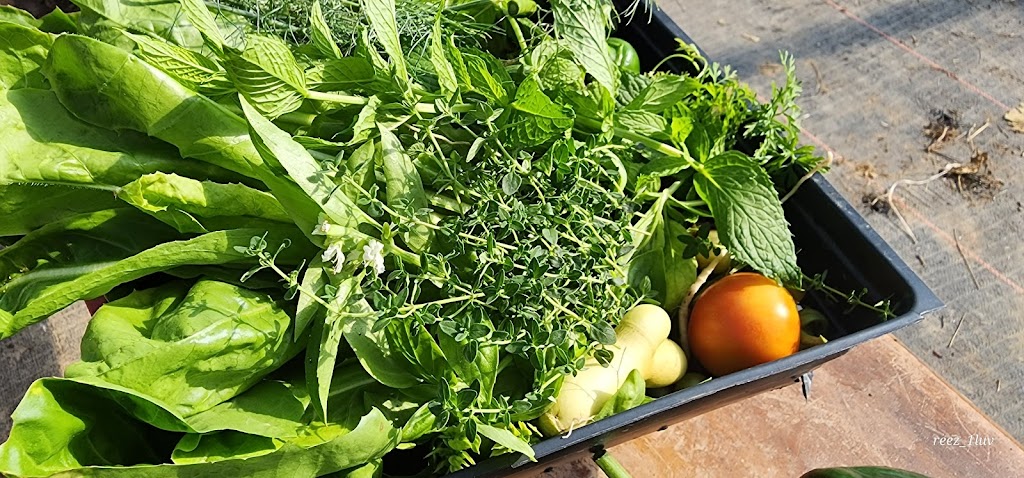 The Ozark Farmhouse | meal takeaway | 20308 AR-16, Clinton, AR 72031, USA | 5012532280 OR +1 501-253-2280