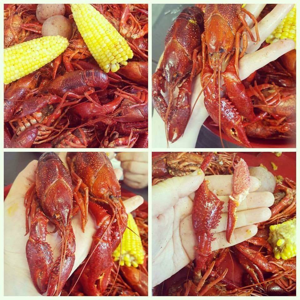 Red Tailz Crawfish | restaurant | 19705 TX-124, Beaumont, TX 77705, USA | 2816840033 OR +1 281-684-0033