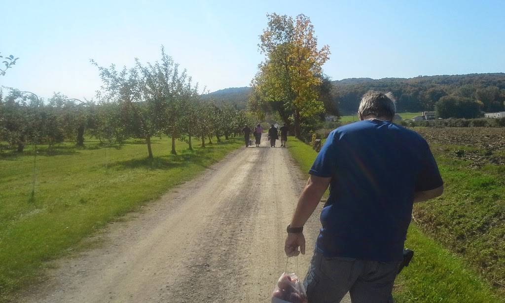 TARTERIE DU VERGER DES MUSIQUES INC. | restaurant | 854 Chemin Principal, Saint-Joseph-du-Lac, QC J0N 1M0, Canada | 4506234889 OR +1 450-623-4889