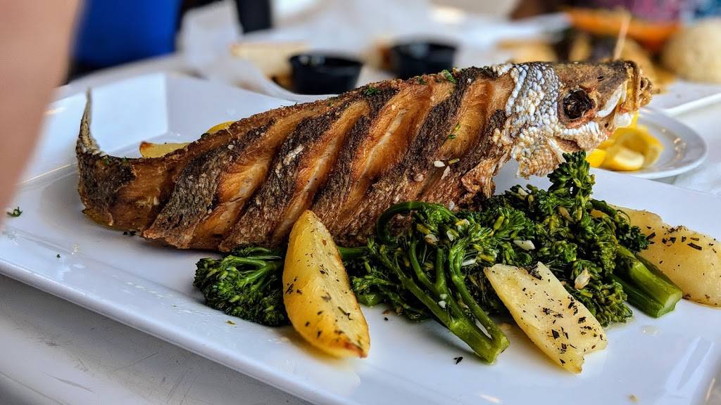 Cafe Ibiza | restaurant | 213 S Fort Lauderdale Beach Blvd, Fort Lauderdale, FL 33316, USA | 9544689953 OR +1 954-468-9953