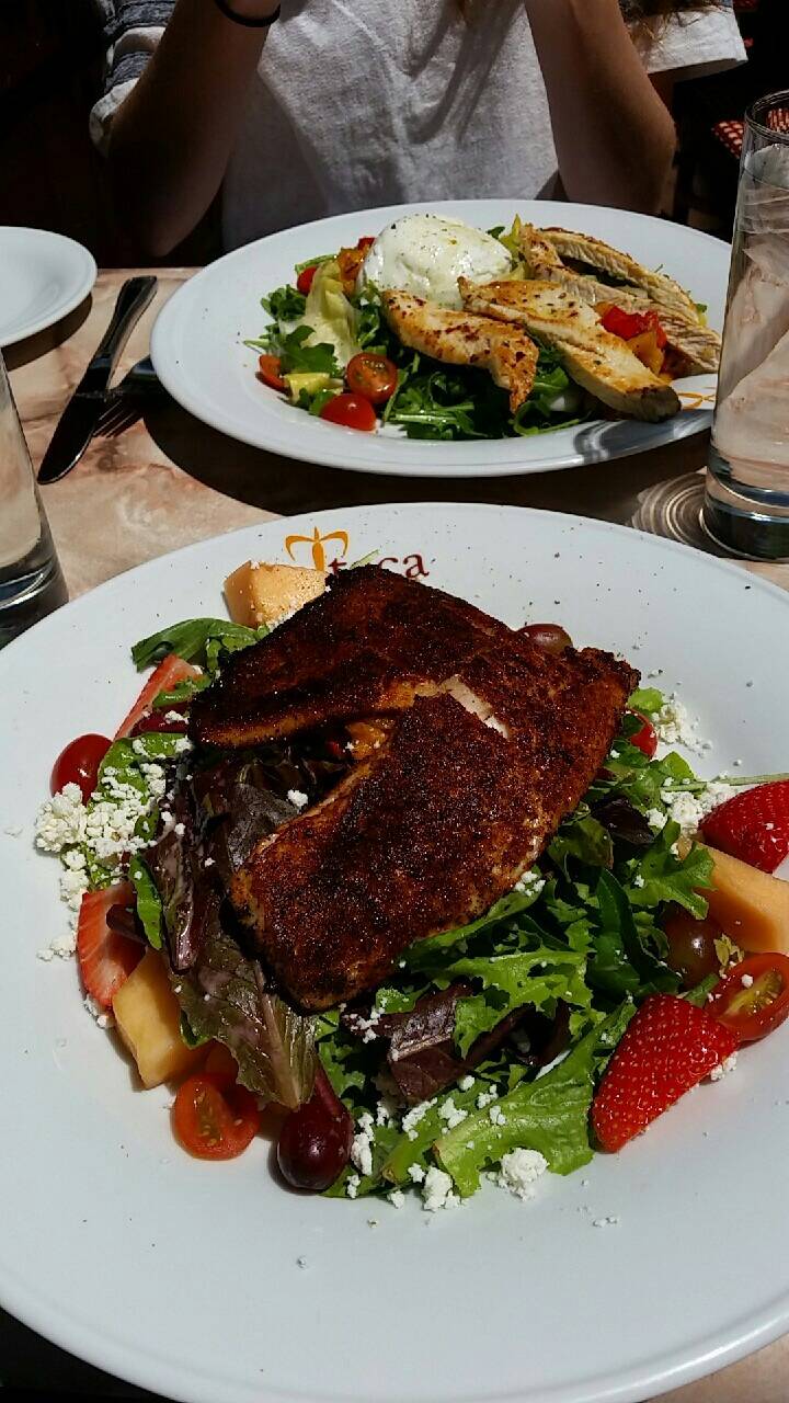 Teca | restaurant | 38 E Gay St, West Chester, PA 19380, USA | 6107388244 OR +1 610-738-8244