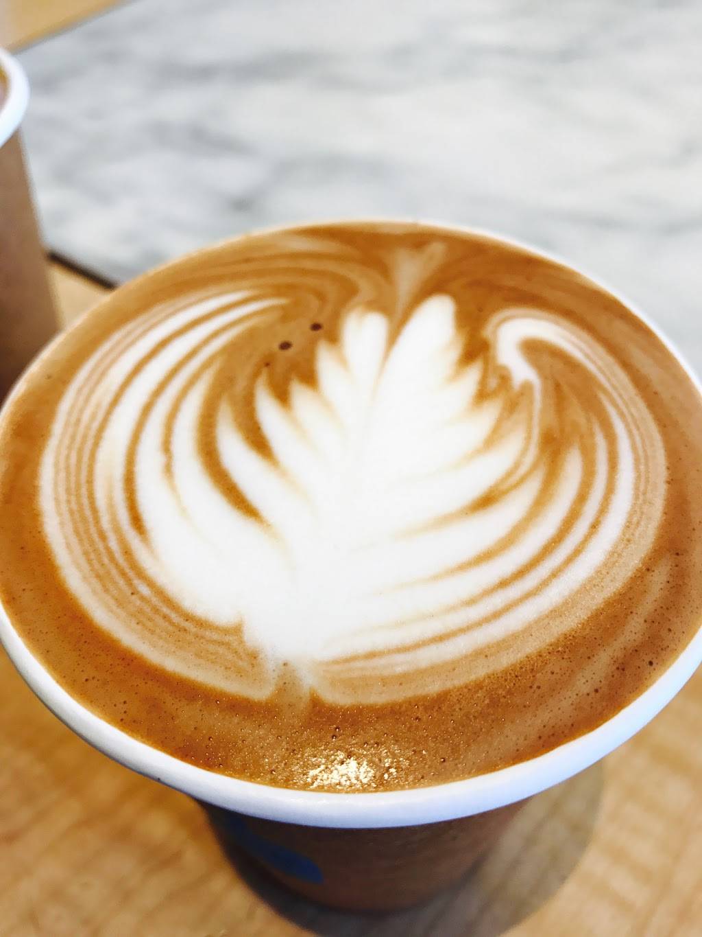 Blue Bottle Coffee | cafe | 1103 Abbot Kinney Blvd, Venice, CA 90291, USA | 5106533394 OR +1 510-653-3394