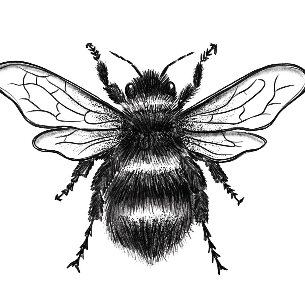 The Bookstore Speakeasy | restaurant | 336 Adams St, Bethlehem, PA 18015, USA | 6108671100 OR +1 610-867-1100