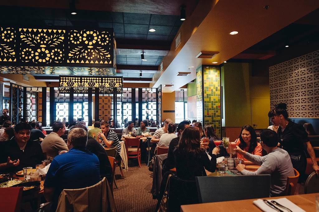 Cactus Bellevue Square | restaurant | 535 Bellevue Square, Bellevue, WA 98004, USA | 4254554321 OR +1 425-455-4321